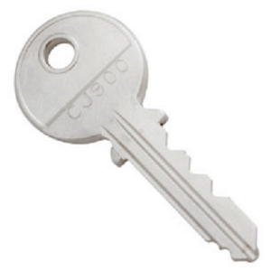 A silver ronis standard cylinder master key with a split ring on a white background.
