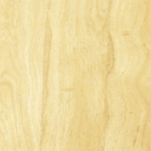Primeval Oak